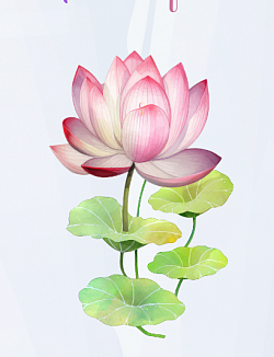 Réserver un soin – 50 €